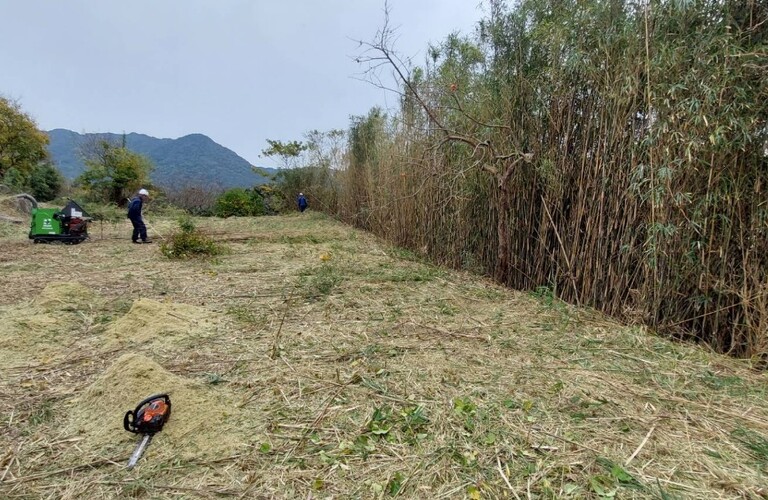 竹林整備するなら行橋市の業者エコボスコにお任せください・草刈り剪定専門業者エコボスコ合同会社（行橋市）