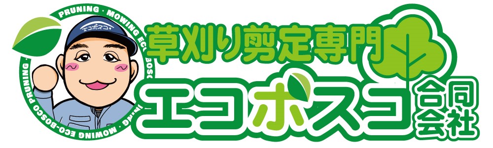 ダウンロード (7)