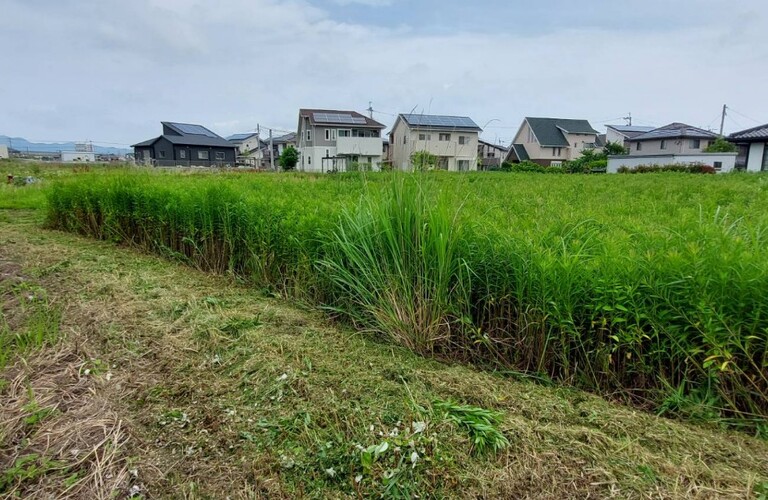 規模に関係なく草刈り剪定ならエコボスコにお任せください・草刈り剪定専門業者エコボスコ合同会社（行橋市）