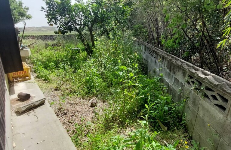 北九州市及びその近郊エリアで草刈り・剪定・伐採いたします・草刈り剪定専門業者エコボスコ合同会社（行橋市）