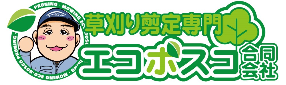 ダウンロード (7)
