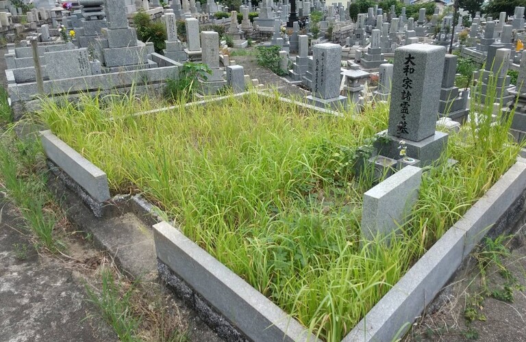 お盆前のお墓周辺の除草作業、ご依頼の際はお早めにご相談ください・草刈り剪定専門業者エコボスコ合同会社(行橋市)