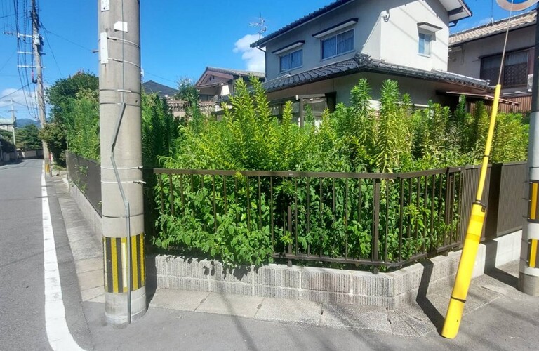 京築エリアでの剪定や伐採は行橋市のエコボスコにお任せください・エコボスコ合同会社