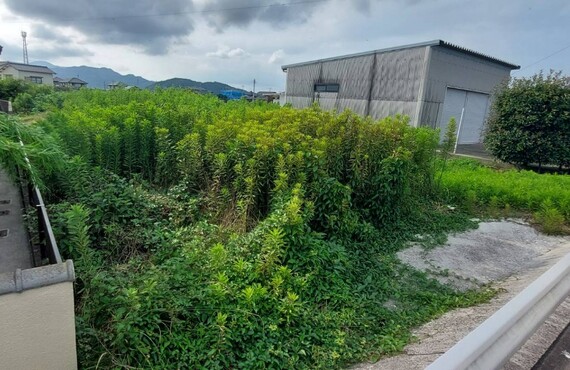 暑い時期の草刈り剪定作業を業者に任せて熱中症リスクを回避しませんか？・エコボスコ合同会社（行橋市）