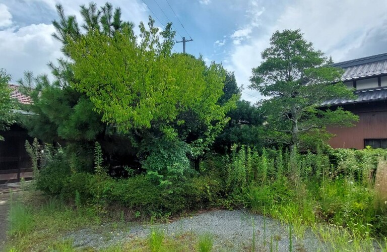 倒木の危険性がある木は台風前の対処をおすすめします・伐採や剪定は行橋市の業者エコボスコ合同会社