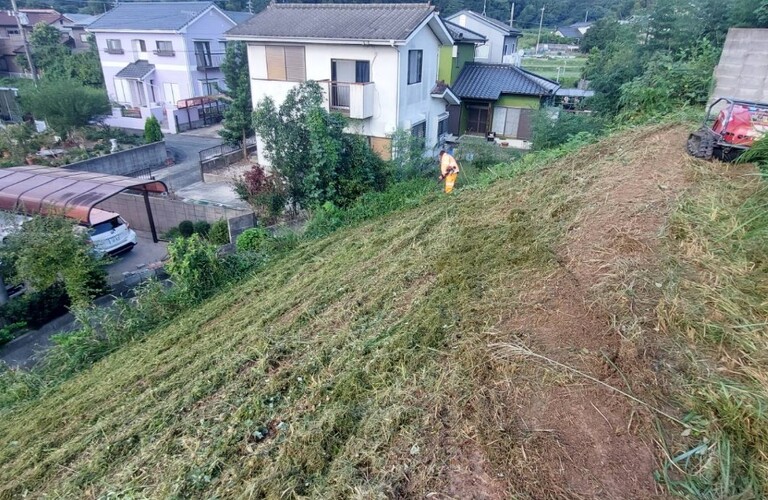 行橋市の草刈り剪定は確かな技術の専門業者エコボスコにお任せください・エコボスコ合同会社