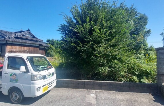 不要な木の伐採でお困りなら行橋市の業者エコボスコにお任せください・エコボスコ合同会社