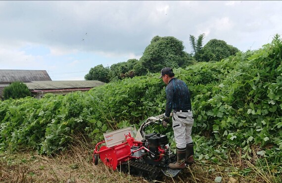 行橋市の草刈り・剪定・伐採はエコボスコにお任せください・草刈り剪定専門エコボスコ合同会社