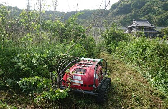 京築エリアのお庭のトラブルやお悩みを解消いたします・草刈り剪定専門エコボスコ合同会社（行橋市）