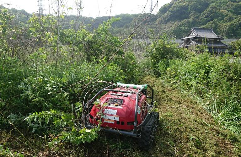 京築エリアのお庭のトラブルやお悩みを解消いたします・草刈り剪定専門エコボスコ合同会社（行橋市）