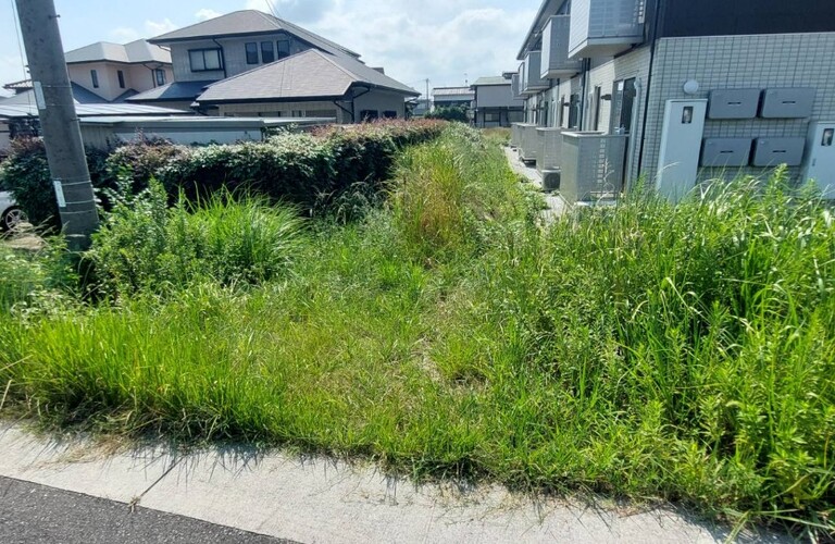 残暑厳しい秋、草刈り剪定作業を業者に任せてみませんか？・行橋市の草刈り剪定専門エコボスコ合同会社