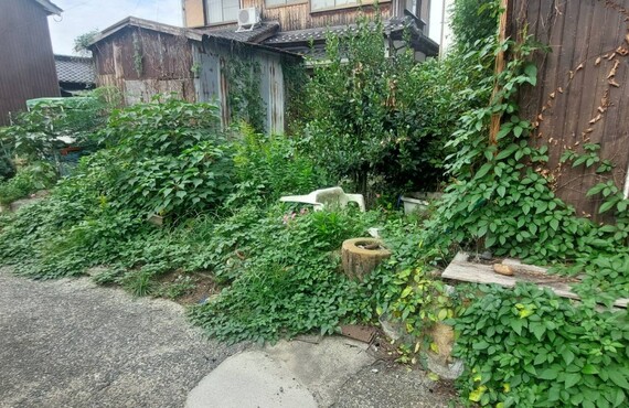 ご予算に合わせた作業もご相談ください、お見積りは無料です・草刈り剪定専門業者エコボスコ合同会社