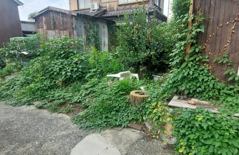 ご予算に合わせた作業もご相談ください、お見積りは無料です・草刈り剪定専門業者エコボスコ合同会社