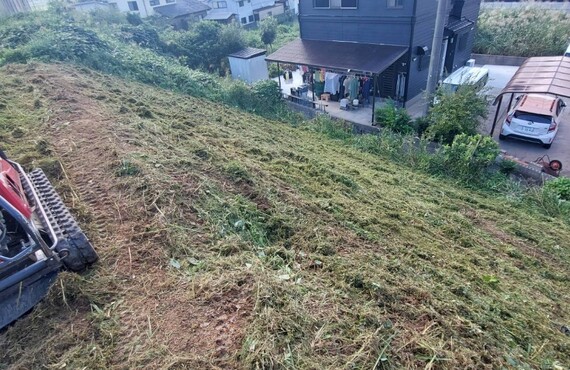 行橋市の草刈り・剪定・伐採、無料でお見積りいたします・エコボスコ合同会社