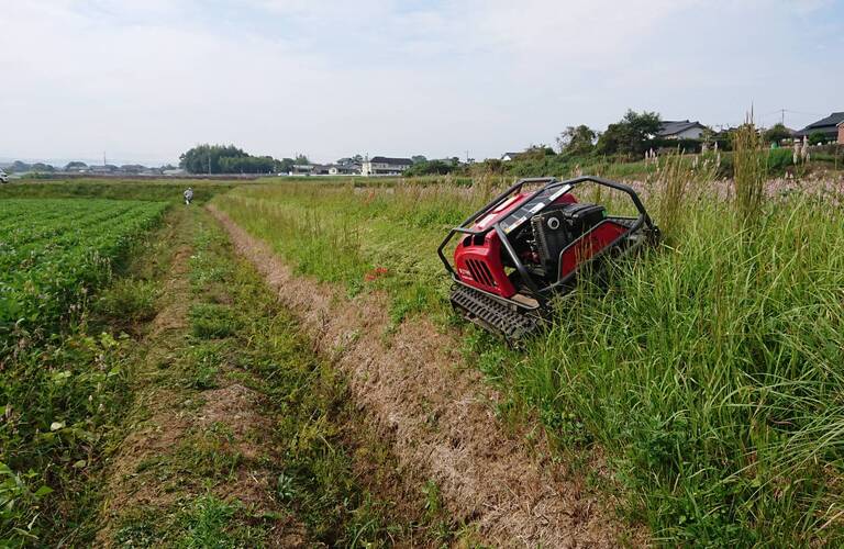 行橋市で剪定、草刈りお探しなら