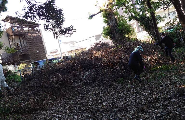 行橋市で空家の草刈り・剪定ならエコボスコ