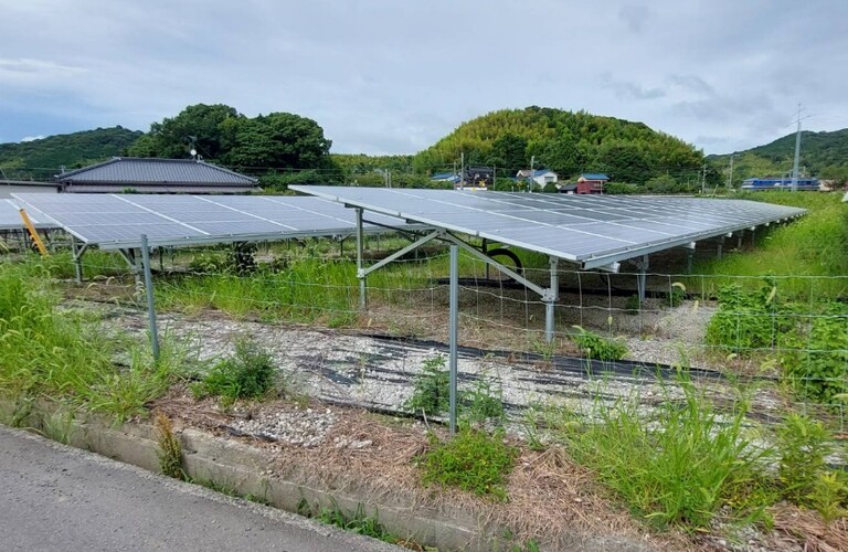 草刈りや除草剤散布など雑草対策はお任せください・エコボスコ合同会社