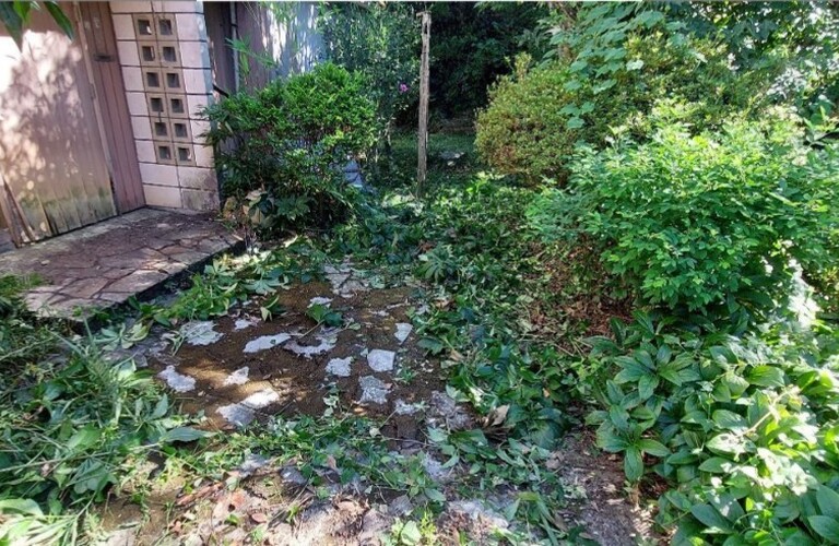 行橋市の草刈り剪定はエコボスコが代行いたします・エコボスコ合同会社