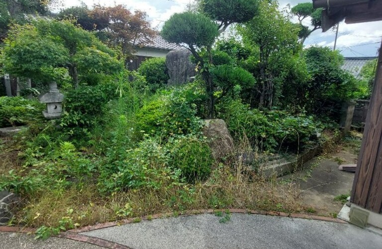 庭木のお手入れをして春を迎えませんか？・草刈り剪定専門エコボスコ合同会社