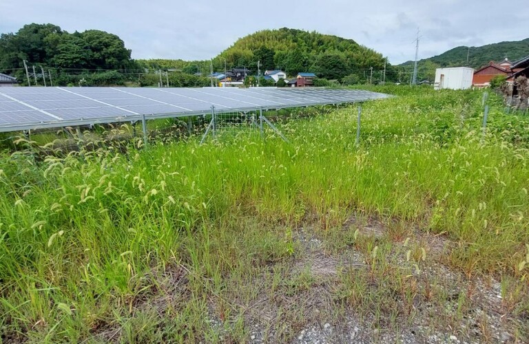 太陽光発電パネル周辺の雑草対策など京築の草木に関するお困りごとを解決・エコボスコ合同会社