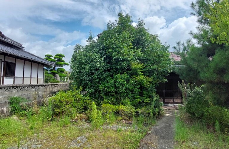 行橋市やみやこ町など京築地域の草刈り剪定いたします・エコボスコ合同会社