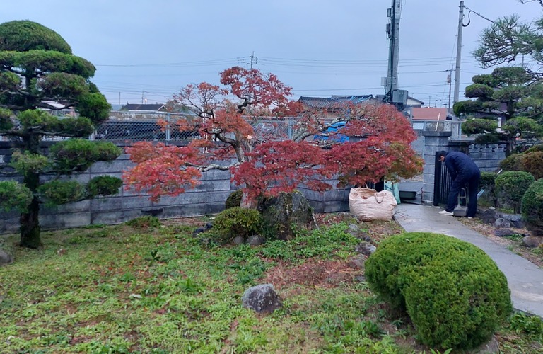 面倒な草刈りも難しい剪定もエコボスコにお任せください・行橋市の草刈り剪定専門エコボスコ合同会社