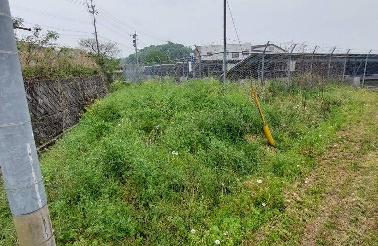 エコボスコ田川店が筑豊地区の草刈り承ります！・草刈り剪定専門エコボスコ合同会社