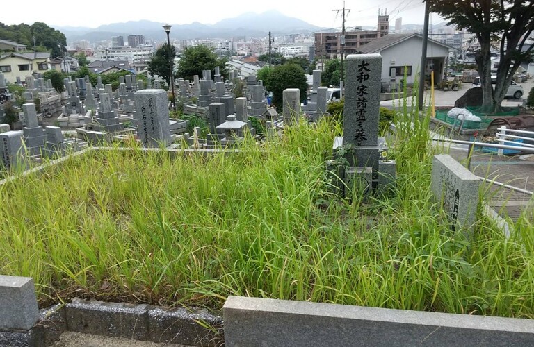 お盆前の墓地の草刈りなど京築の草刈りや除草剤散布はエコボスコにご相談ください・草刈り剪定専門エコボスコ合同会社