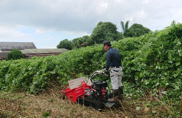 伸びすぎた草木を切って害虫対策・草刈り剪定専門エコボスコ合同会社（行橋市）
