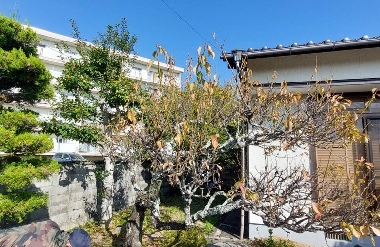 庭木の剪定や伐採でお困りでしたらエコボスコにご相談ください・草刈り剪定専門エコボスコ合同会社（行橋市）