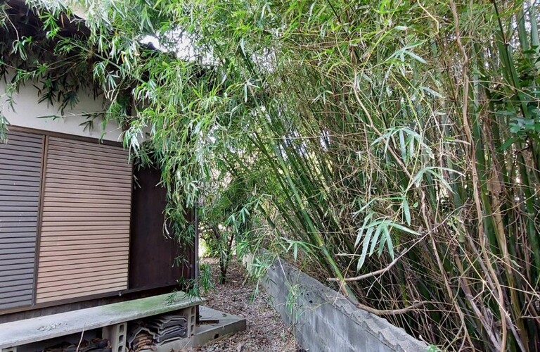 北九州・京築の竹林整備のご依頼は行橋市のエコボスコへ！・草刈り剪定専門エコボスコ合同会社