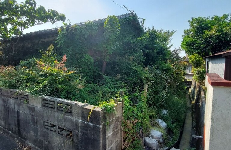 草刈り・剪定でお悩みではありませんか？エコボスコがお悩み解消します・草刈り剪定専門エコボスコ合同会社（行橋市）
