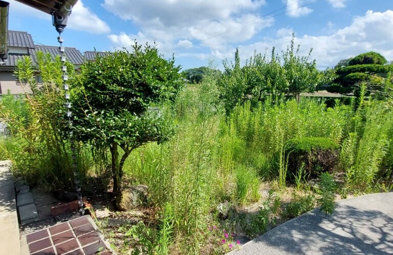 京築の草刈り剪定業者をお探しではありませんか？エコボスコならお見積もり無料・エコボスコ合同会社（行橋市）