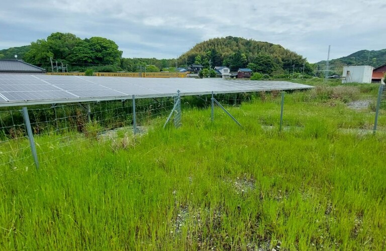 北九州及び近郊エリアでの定期的な除草剤散布ならお任せください・草刈り剪定業者のエコボスコ合同会社（行橋市）
