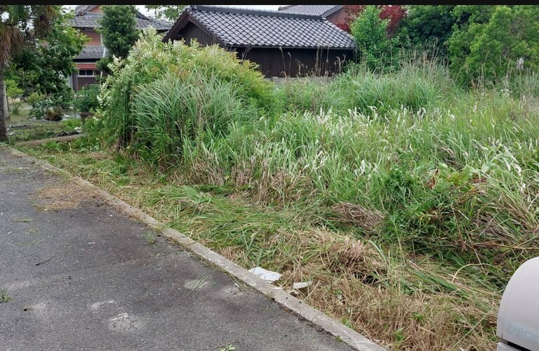 空き地を所有の皆様、雑草対策などでお困りではありませんか？・草刈り剪定専門エコボスコ合同会社（行橋市）