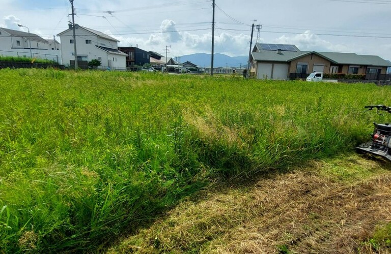 筑豊エリアの草刈り作業うけたまわります！エコボスコ田川店は見積もり無料・草刈り剪定専門エコボスコ合同会社