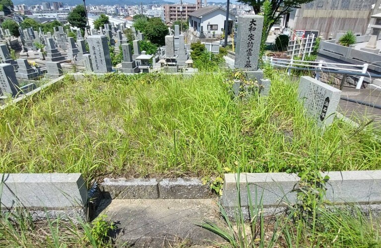 お彼岸前にお墓周辺の草刈りうけたまわります・草刈り剪定専門業者エコボスコ合同会社（行橋市）