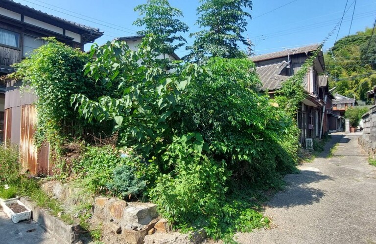 台風シーズンです。被害が生じる前に不要な木の伐採しませんか？・草刈り剪定専門業者エコボスコ合同会社（行橋市）