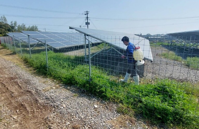 草刈り剪定を年内にお考えの方はお急ぎお問い合わせください・草刈り剪定業者のエコボスコ合同会社（行橋市）